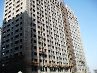 lvdi-zhenzhou-_s